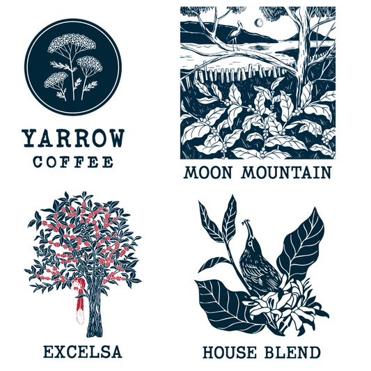 Coffee Sample Pack