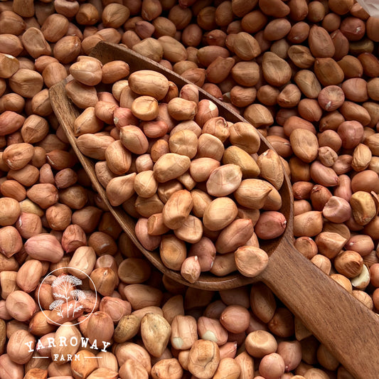 Spanish White Peanuts (Raw)