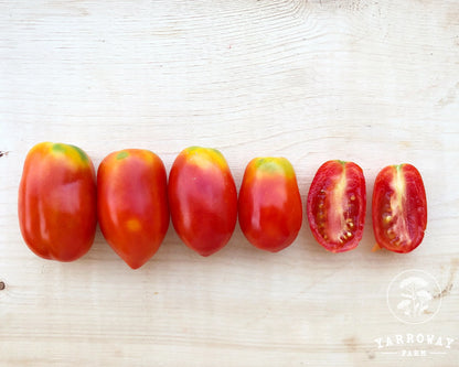 San Marzano Tomato