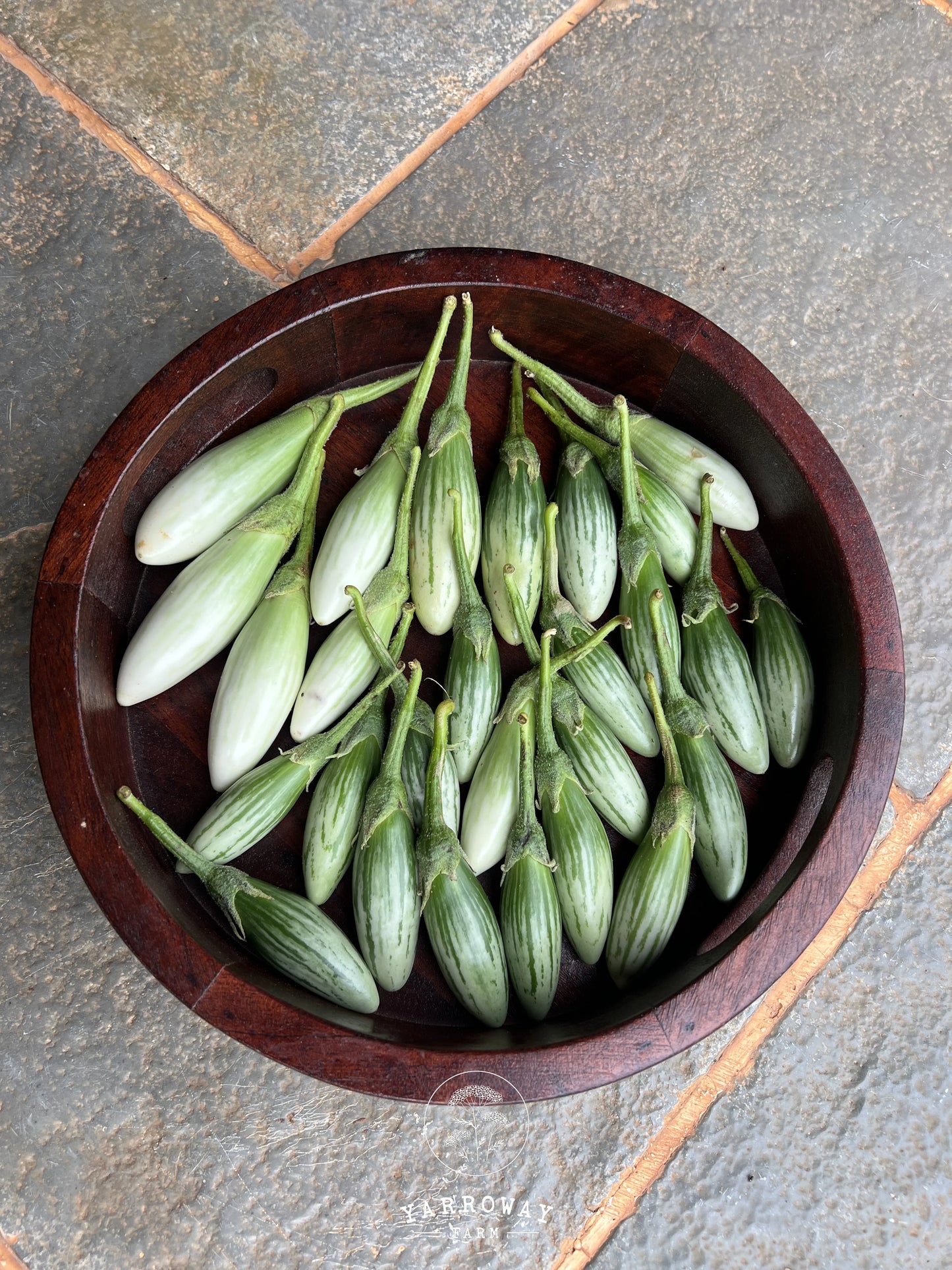 Thai Green Frog Fingers Eggplant