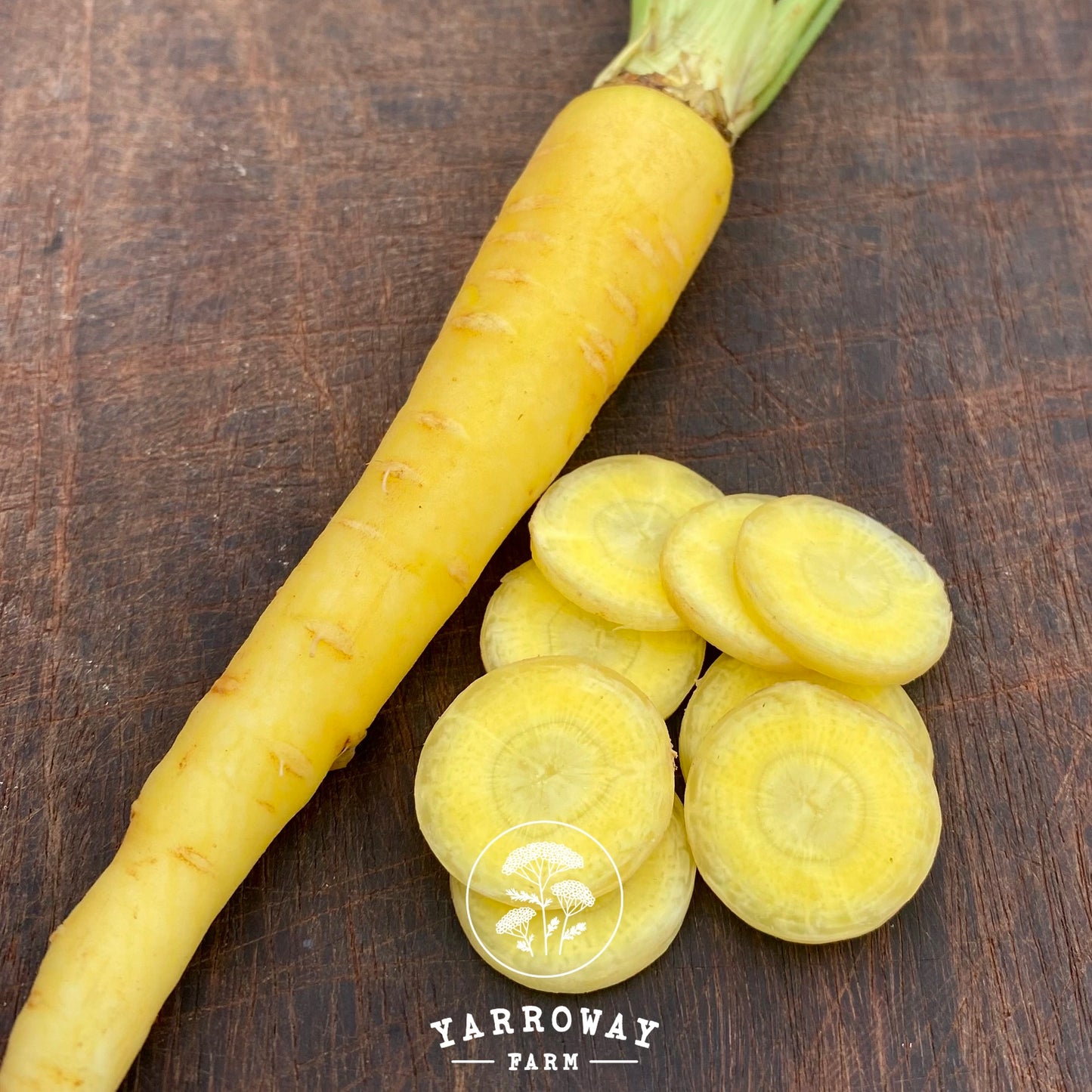 Uzbek Golden Carrot