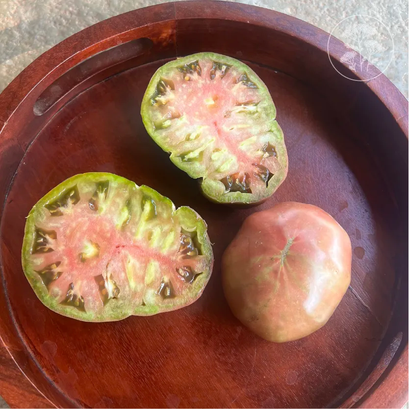 Black Brandywine Tomato