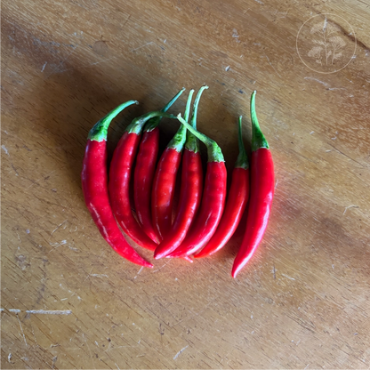 Cayenne Long Thin Hot Pepper