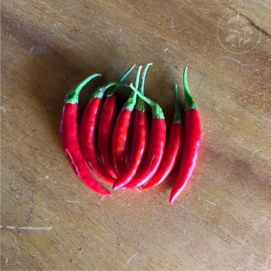 Cayenne Long Thin Hot Pepper