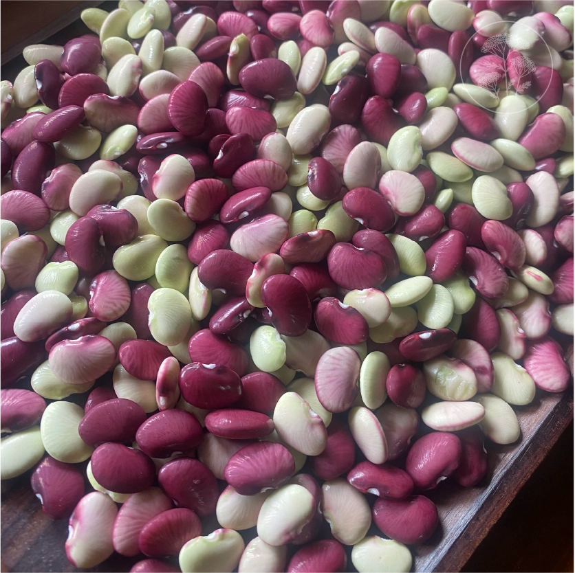 Cheriya Avare Pole Bean