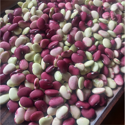 Cheriya Avare Pole Bean