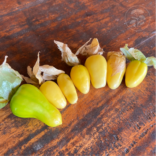 Chupon De Malinalco Tomatillo