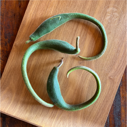 Devil's Claw