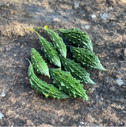 Karela Bitter Gourd