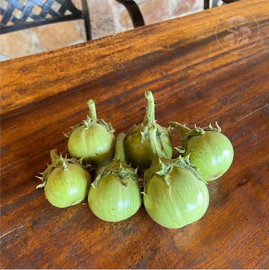 Mattu Gulla Brinjal