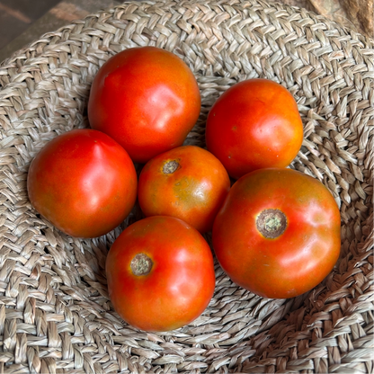 Prolific Tomato