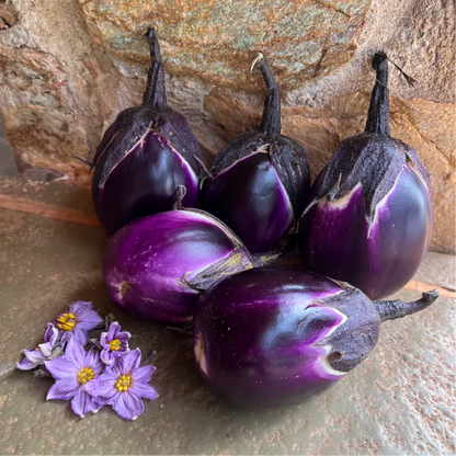 Prosperosa Eggplant