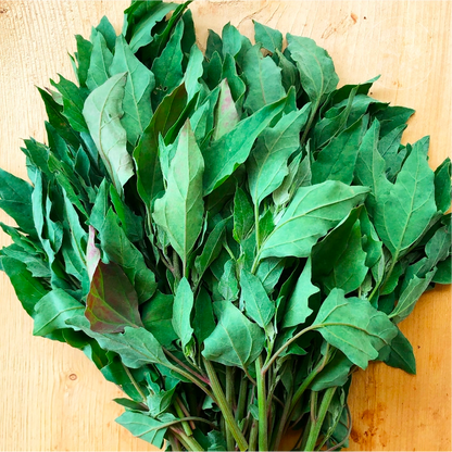 Red Aztec Spinach - Huauzontle