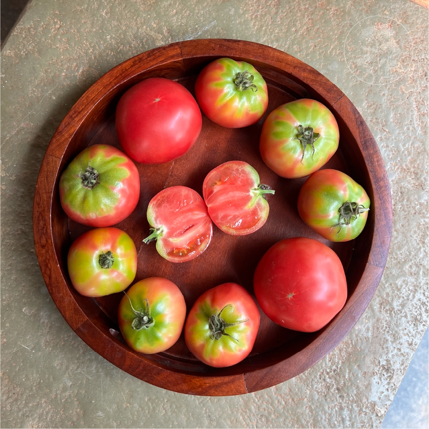 Rosa Di Sorrento Tomato
