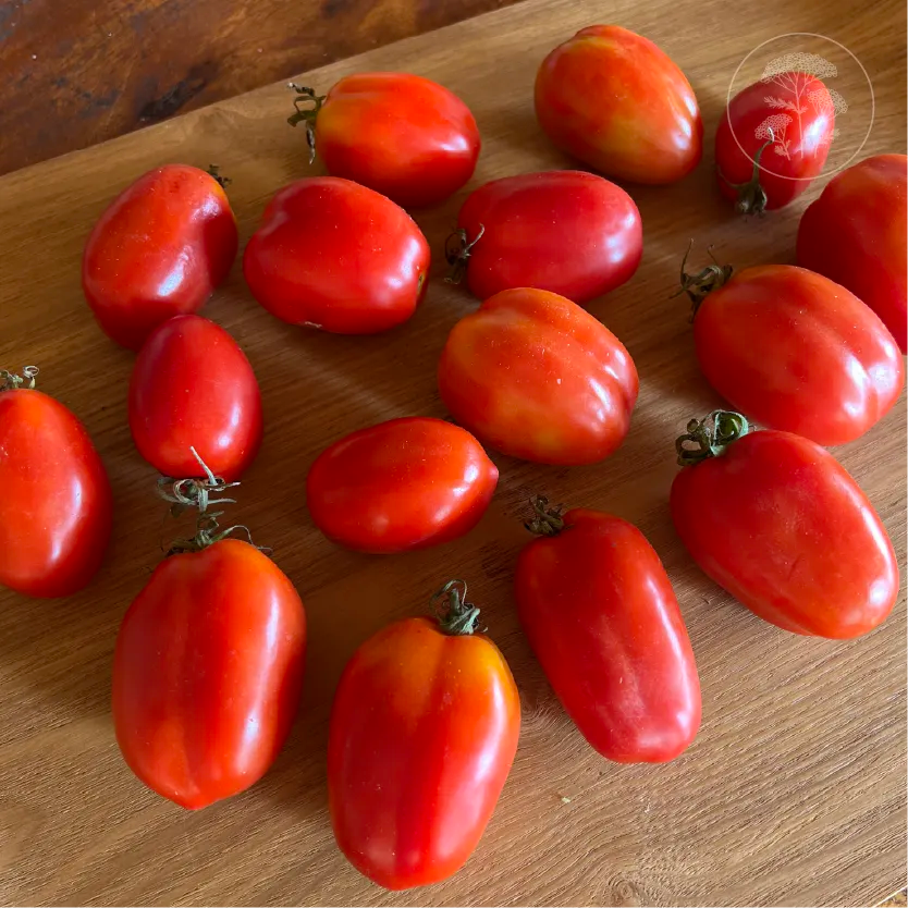 San Marzano Tomato