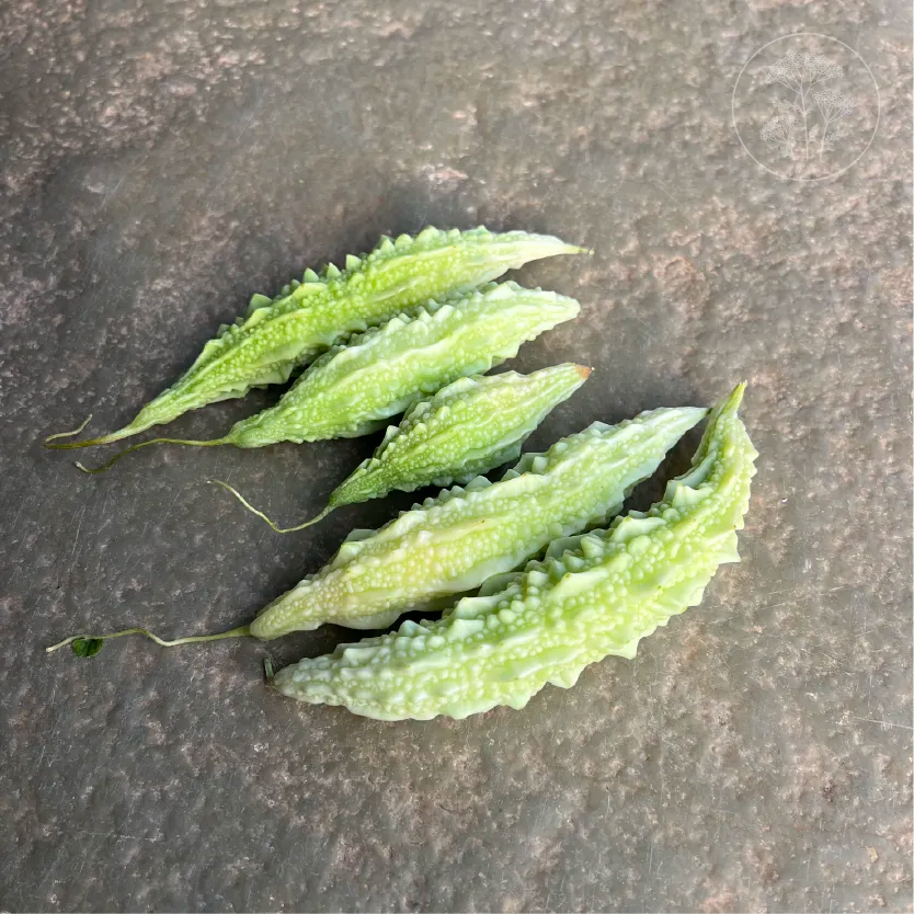 White Bitter Gourd