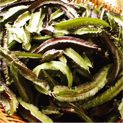 Purple Winged - Pole Bean