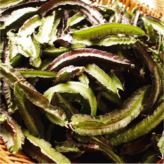 Purple Winged - Pole Bean