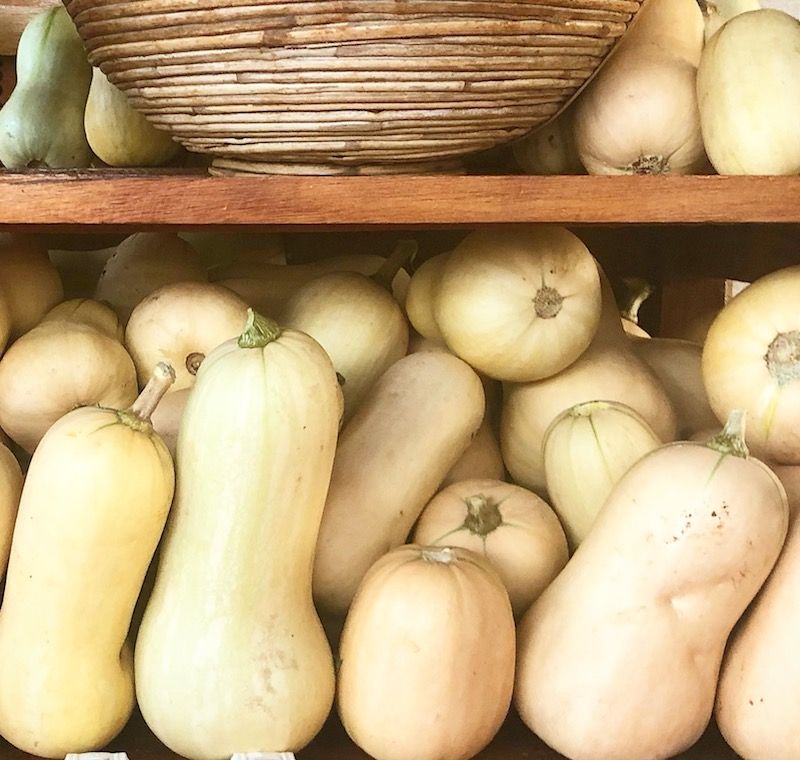 Waltham Butternut Squash